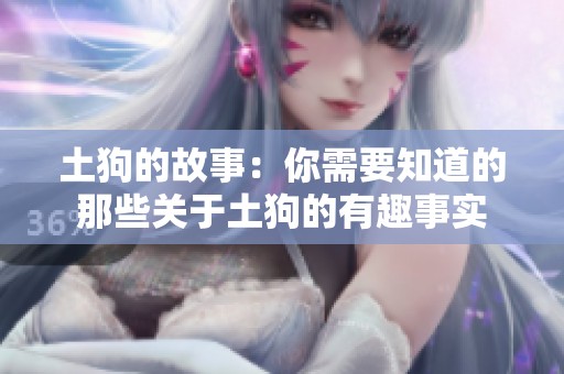 土狗的故事：你需要知道的那些关于土狗的有趣事实