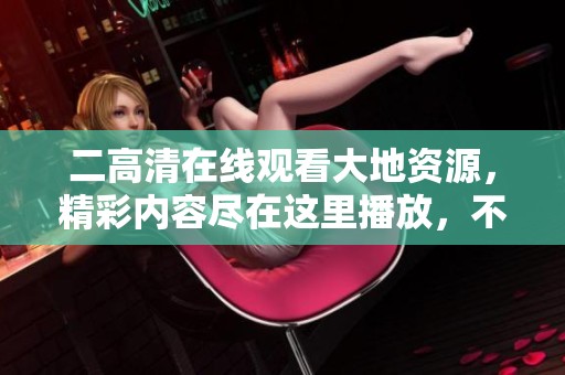 二高清在线观看大地资源，精彩内容尽在这里播放，不容错过！