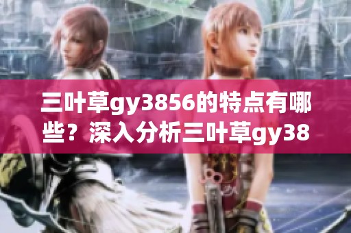 三叶草gy3856的特点有哪些？深入分析三叶草gy3856的独特之处！