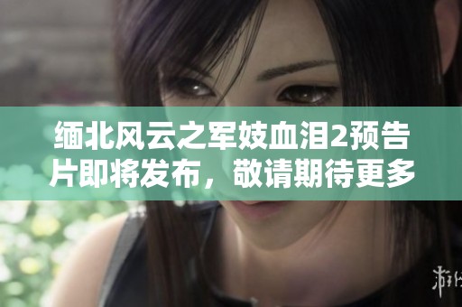 缅北风云之军妓血泪2预告片即将发布，敬请期待更多精彩内容
