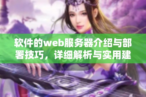 软件的web服务器介绍与部署技巧，详细解析与实用建议分享