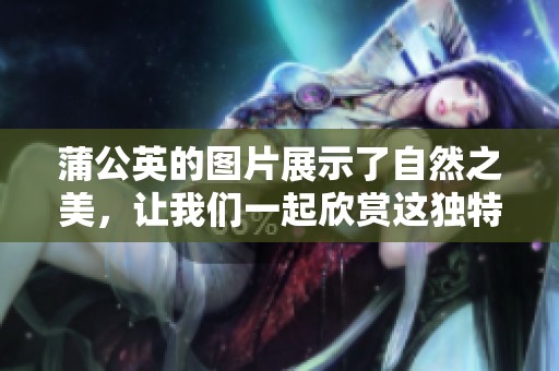 蒲公英的图片展示了自然之美，让我们一起欣赏这独特的植物魅力。