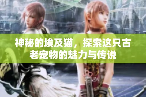 神秘的埃及猫，探索这只古老宠物的魅力与传说