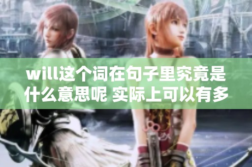 will这个词在句子里究竟是什么意思呢 实际上可以有多种解释