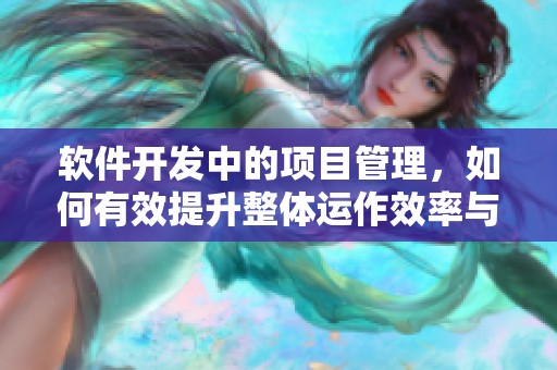 软件开发中的项目管理，如何有效提升整体运作效率与成果