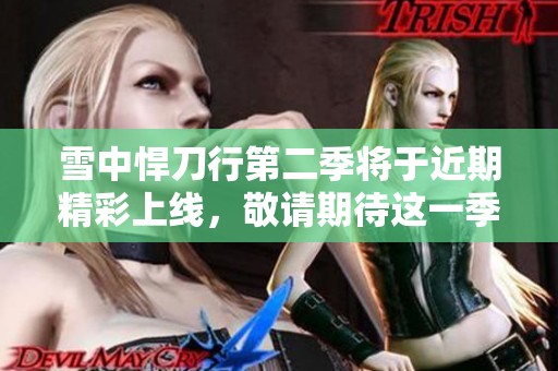 雪中悍刀行第二季将于近期精彩上线，敬请期待这一季的精彩故事与角色发展