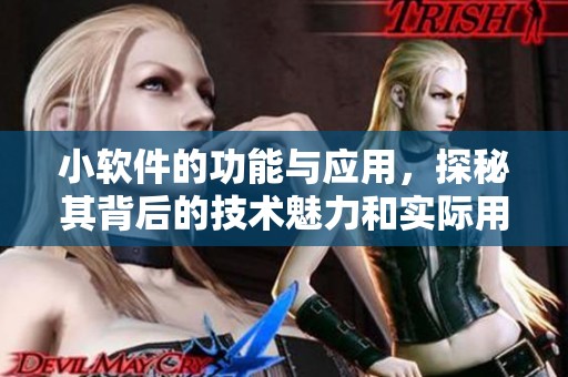 小软件的功能与应用，探秘其背后的技术魅力和实际用途