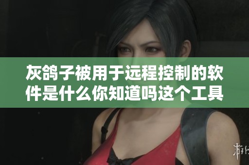灰鸽子被用于远程控制的软件是什么你知道吗这个工具有什么特别之处