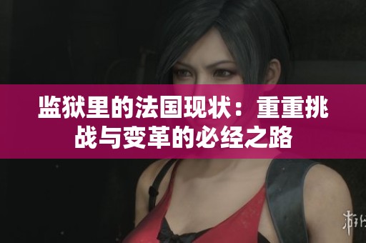 监狱里的法国现状：重重挑战与变革的必经之路