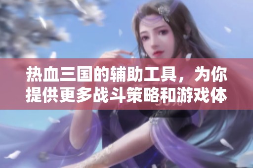 热血三国的辅助工具，为你提供更多战斗策略和游戏体验提升的选择