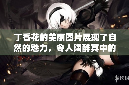 **花的美丽图片展现了自然的魅力，令人陶醉其中的花香扑面而来