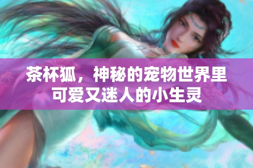 茶杯狐，神秘的宠物世界里可爱又迷人的小生灵