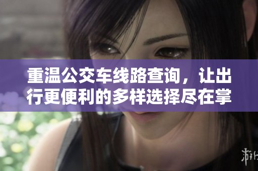 重温公交车线路查询，让出行更便利的多样选择尽在掌握中