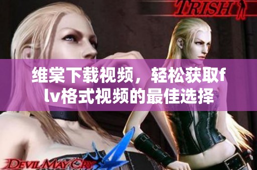 维棠下载视频，轻松获取flv格式视频的最佳选择