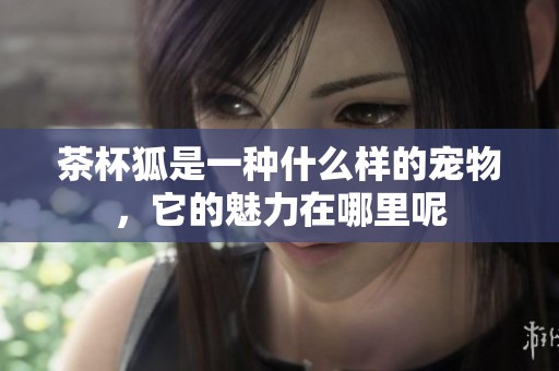 茶杯狐是一种什么样的宠物，它的魅力在哪里呢