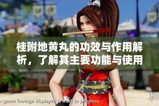 桂附地黄丸的功效与作用解析，了解其主要功能与使用方法