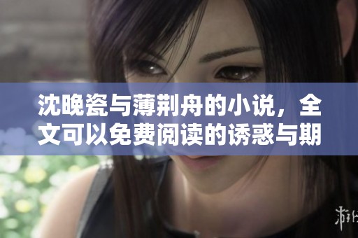 沈晚瓷与薄荆舟的小说，全文可以免费阅读的诱惑与期待
