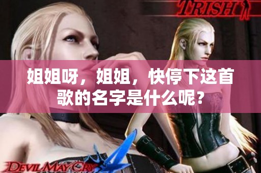 姐姐呀，姐姐，快停下这首歌的名字是什么呢？