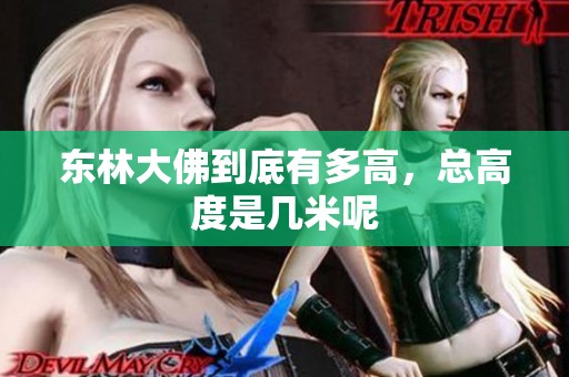 东林大佛到底有多高，总高度是几米呢