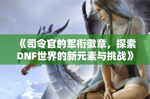 《司令官的军衔徽章，探索DNF世界的新元素与挑战》
