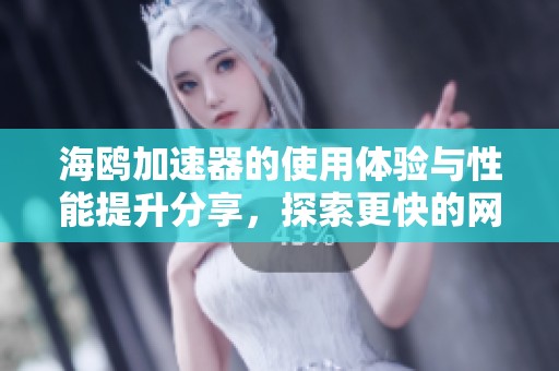 海鸥加速器的使用体验与性能提升分享，探索更快的网络畅游方式