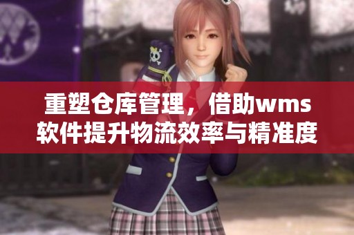 重塑仓库管理，借助wms软件提升物流效率与精准度