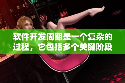 软件开发周期是一个复杂的过程，它包括多个关键阶段和环节。