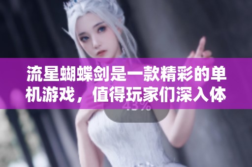 流星蝴蝶剑是一款精彩的单机游戏，值得玩家们深入体验与探索