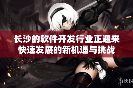 长沙的软件开发行业正迎来快速发展的新机遇与挑战