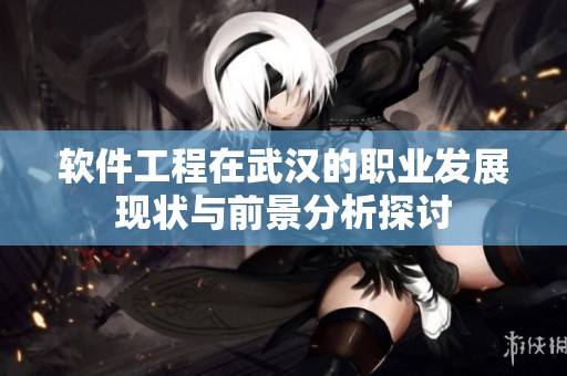 软件工程在武汉的职业发展现状与前景分析探讨