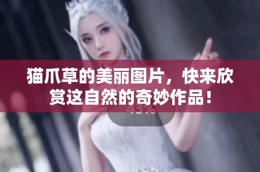 猫爪草的美丽图片，快来欣赏这自然的奇妙作品！