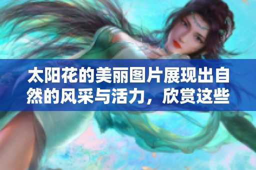 太阳花的美丽图片展现出自然的风采与活力，欣赏这些令人愉悦的花朵吧