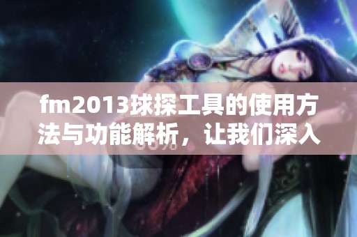 fm2013球探工具的使用方法与功能解析，让我们深入了解这款工具的魅力