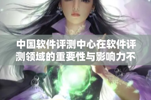 中国软件评测中心在软件评测领域的重要性与影响力不容忽视