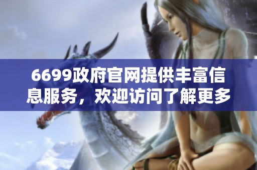 6699政府官网提供丰富信息服务，欢迎访问了解更多内容