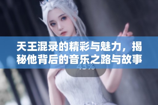 天王混录的精彩与魅力，揭秘他背后的音乐之路与故事