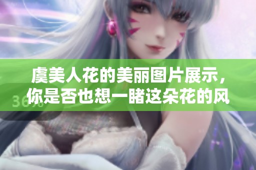 虞美人花的美丽图片展示，你是否也想一睹这朵花的风采呢