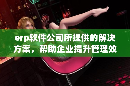 erp软件公司所提供的解决方案，帮助企业提升管理效率与业绩