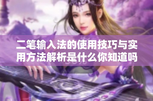 二笔输入法的使用技巧与实用方法解析是什么你知道吗