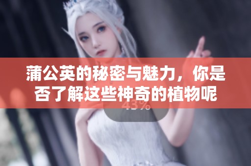 蒲公英的秘密与魅力，你是否了解这些神奇的植物呢