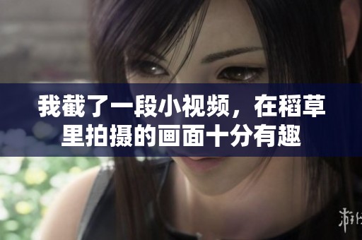 我截了一段小视频，在稻草里拍摄的画面十分有趣