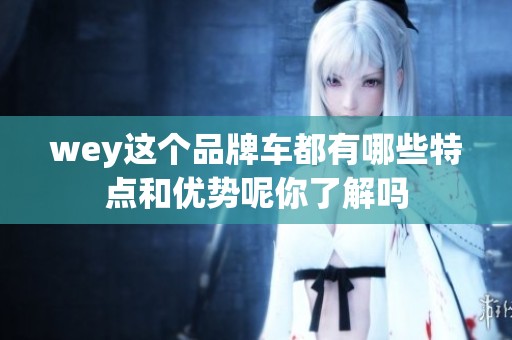 wey这个品牌车都有哪些特点和优势呢你了解吗