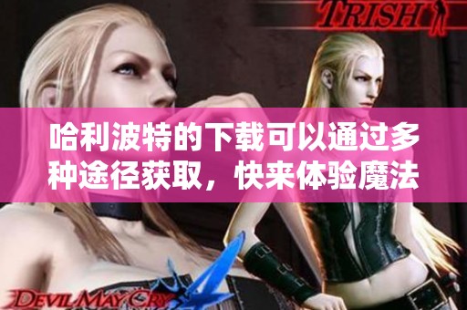 哈利波特的下载可以通过多种途径获取，快来体验魔法的世界吧