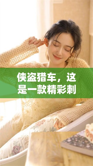 侠盗猎车，这是一款精彩刺激的游戏体验，让玩家尽情享受冒险！