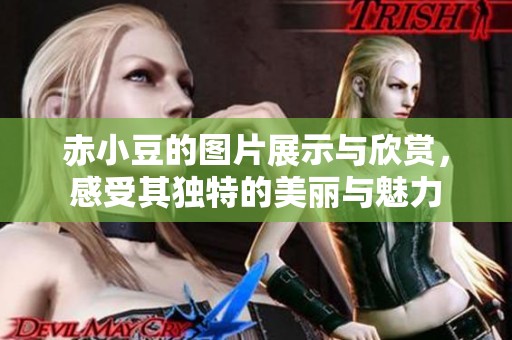 赤小豆的图片展示与欣赏，感受其独特的美丽与魅力