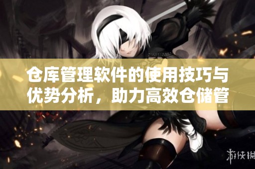 仓库管理软件的使用技巧与优势分析，助力高效仓储管理