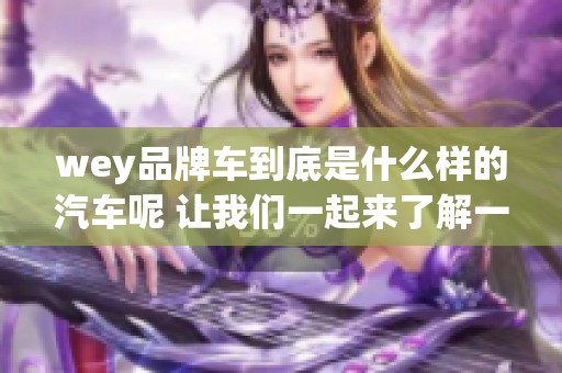 wey品牌车到底是什么样的汽车呢 让我们一起来了解一下这个品牌吧