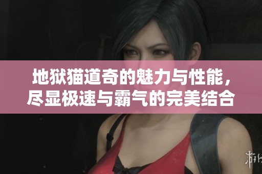 地狱猫道奇的魅力与性能，尽显极速与霸气的完美结合