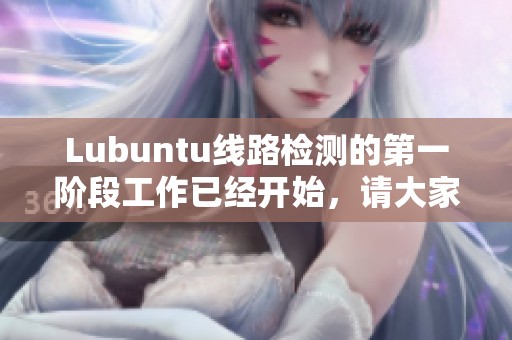 Lubuntu线路检测的第一阶段工作已经开始，请大家关注相关进展与更新信息