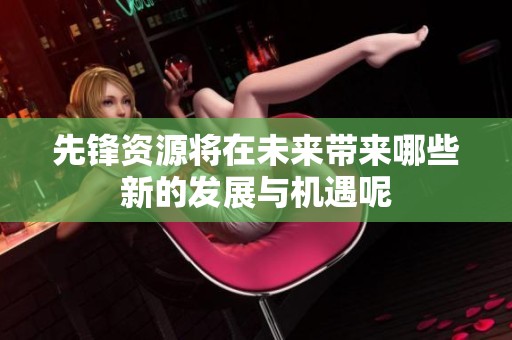 先锋资源将在未来带来哪些新的发展与机遇呢